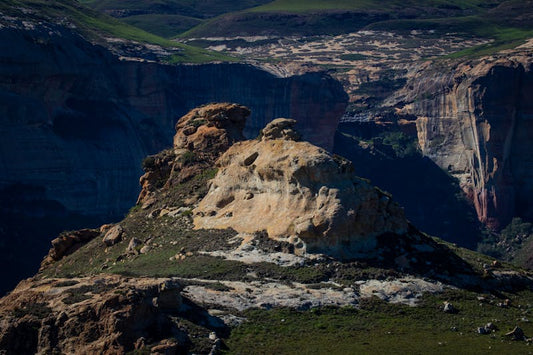 رحلة اليوغا الكاملة — من الصفر إلى الثبات